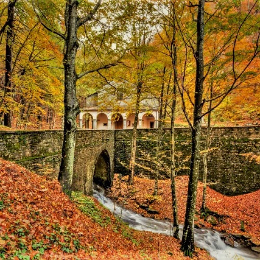 Edificio antico in un bosco autunnale con foglie colorate e un ruscello.